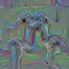 n02091831